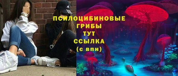 тгк Вязьма