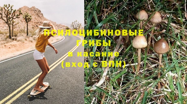 меф Вяземский